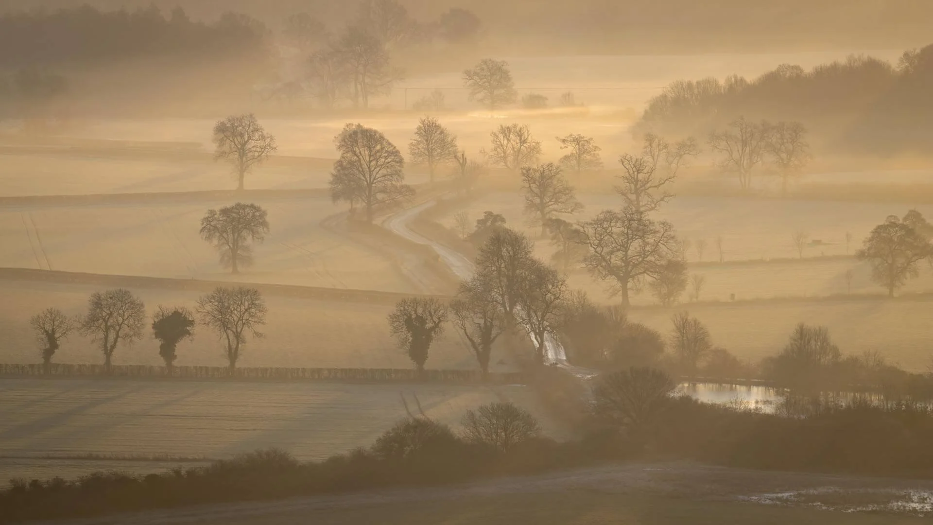 Pewsey Vale's hedgerow guardians by Gerald Clarke