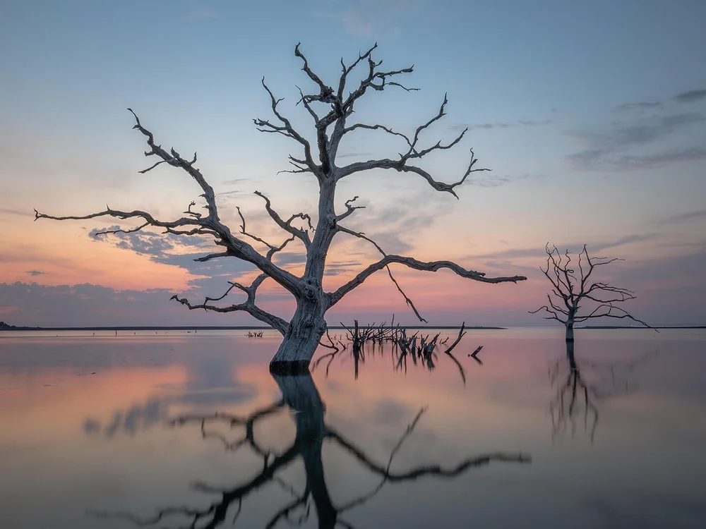 Sunset Porlock Marsh by Robert Harvey