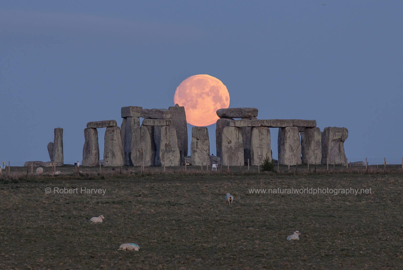 Moonset, Stonehenge, Wiltshire