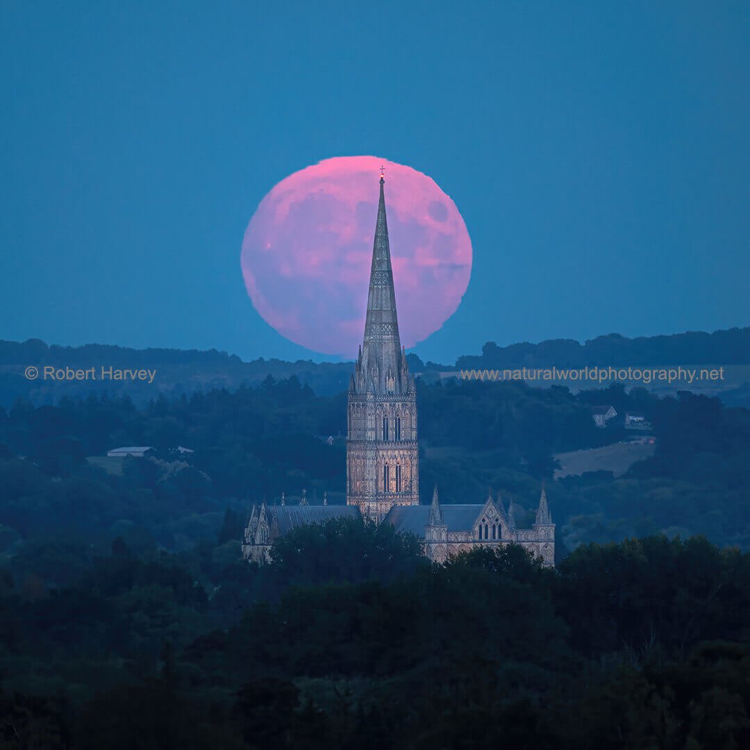 Full Moon rising beyond Salisbury Cathedral, Wiltshire