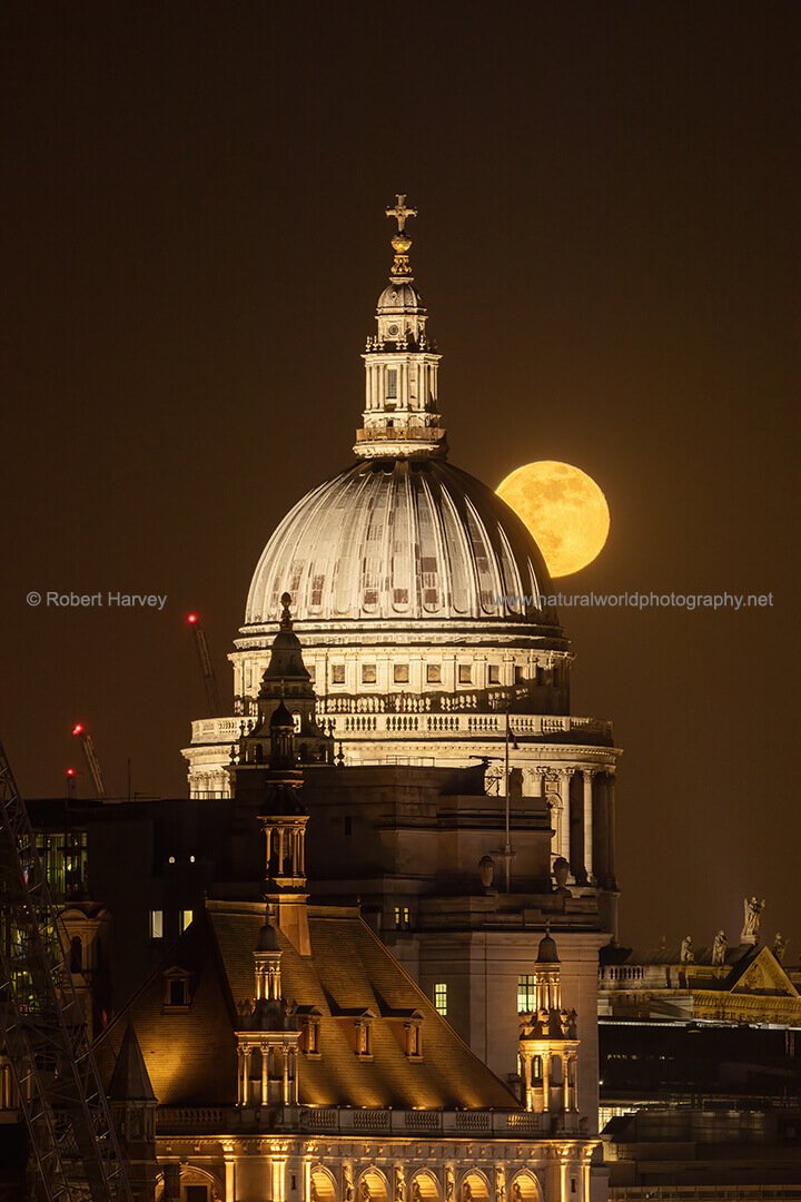 Full Moon rise, St Paul's Cathedral, London