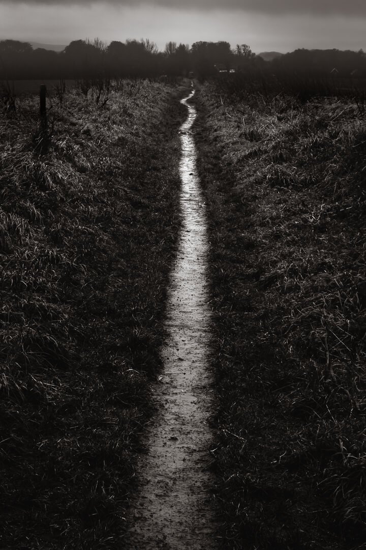 1st Follow the Path By Dave Eagle
