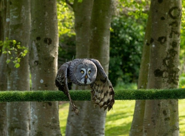 Image By Sandra Foulstone