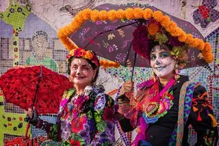 Image By Robin Gregory