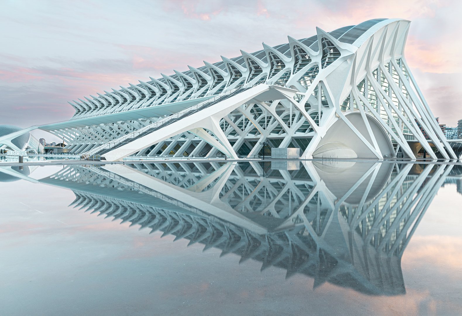 3rd Prince Felipe Science Museum By Caroline Wright