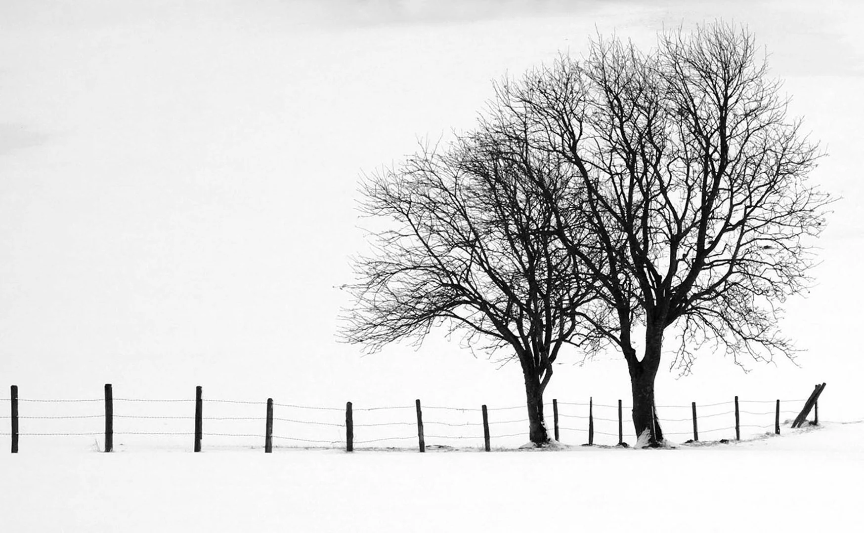 HC Winter Wonderland By Kevin Ferris