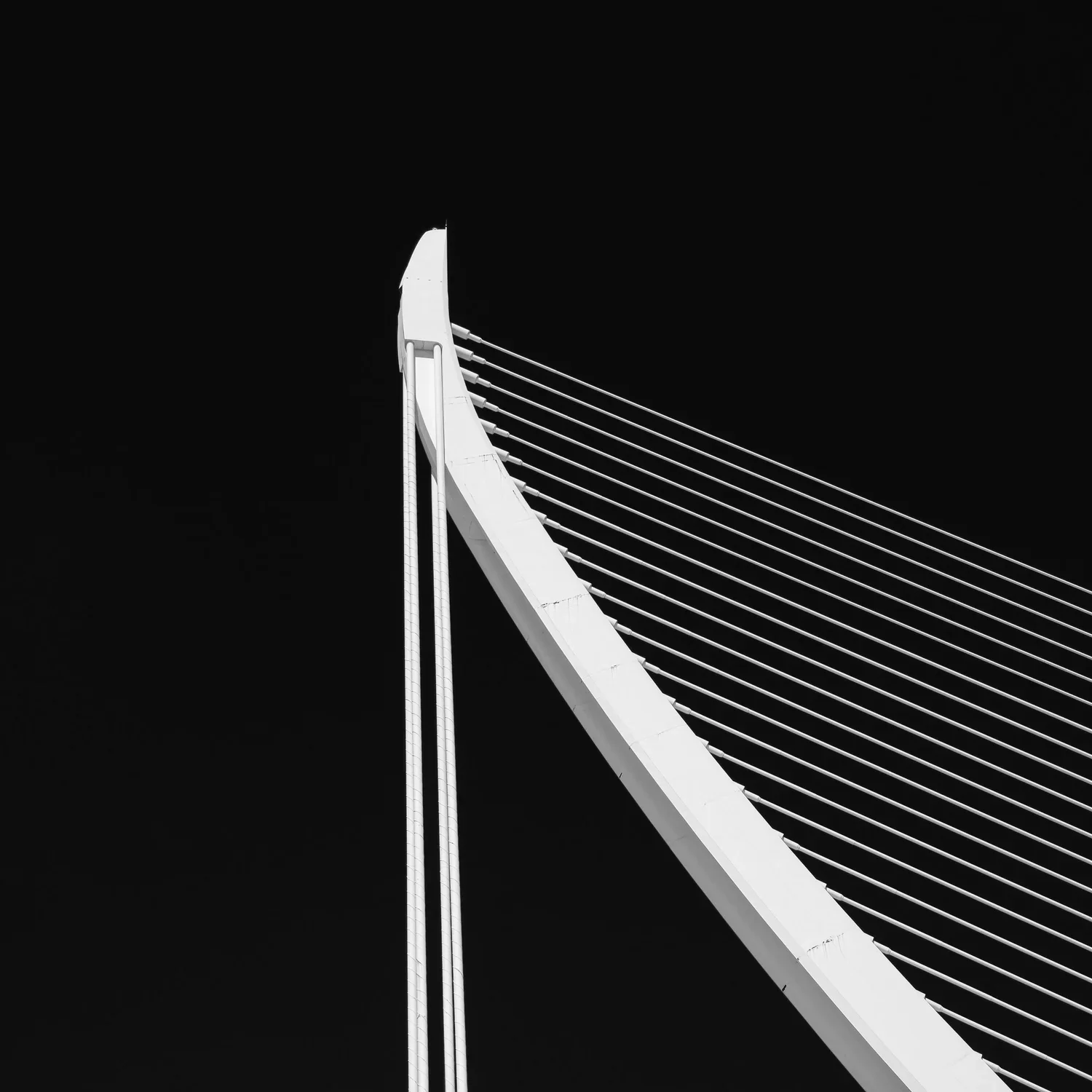 Simply Black and White