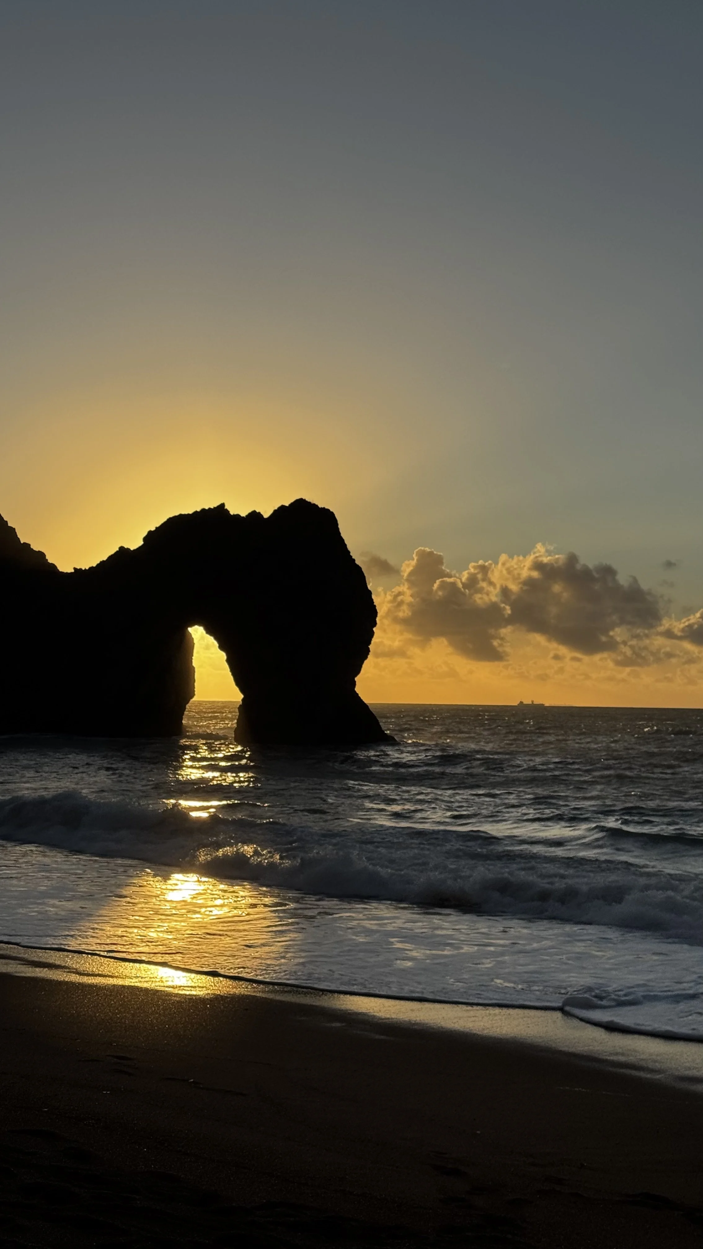 Image By Gerald Clarke