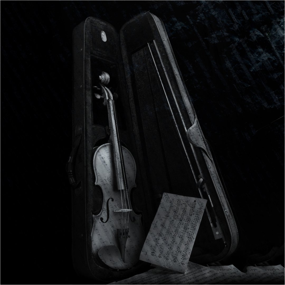 1_Violin.jpg