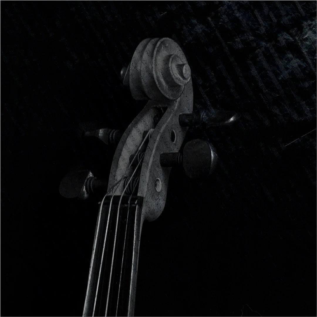 4_Violin.jpg