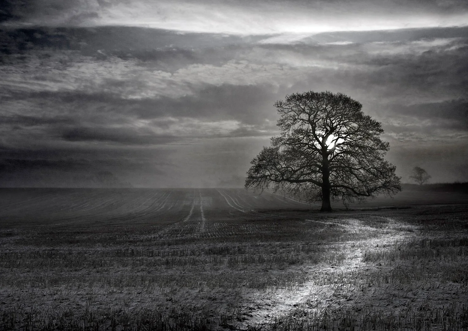 2_Winter Impressions.jpg