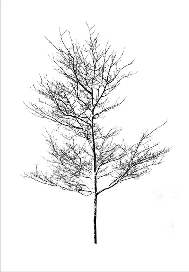 3_Winter Impressions.jpg