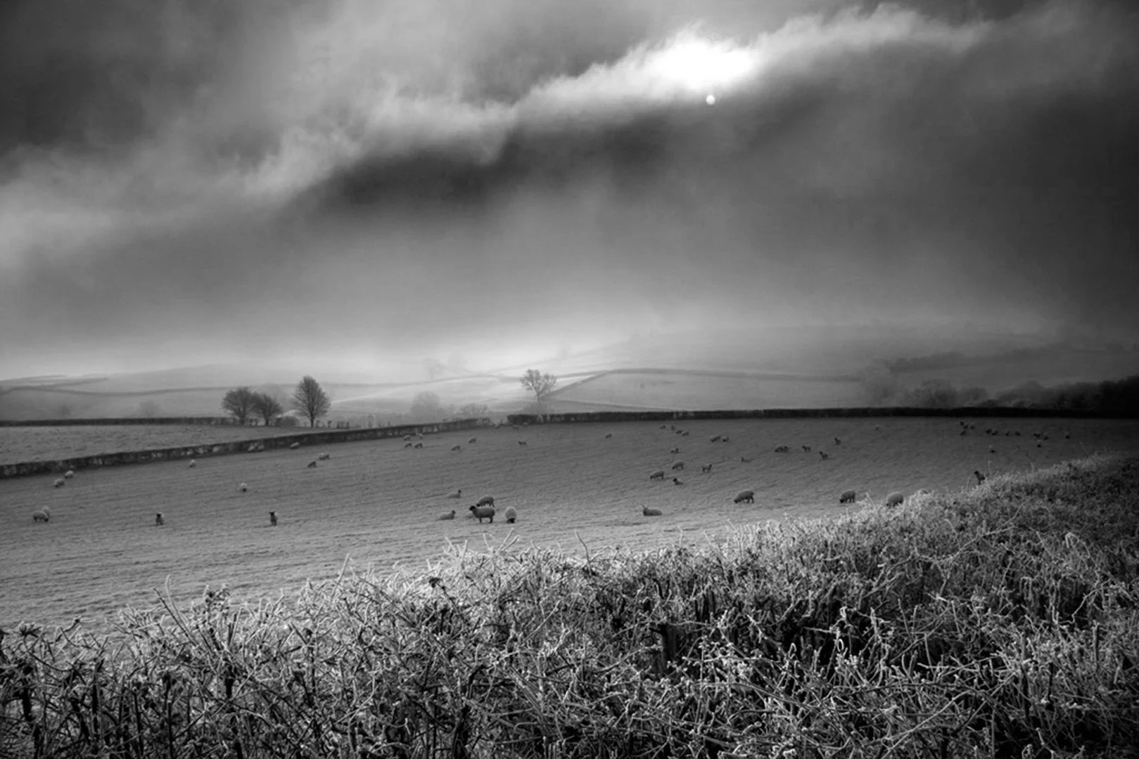 4_Winter Impressions.jpg