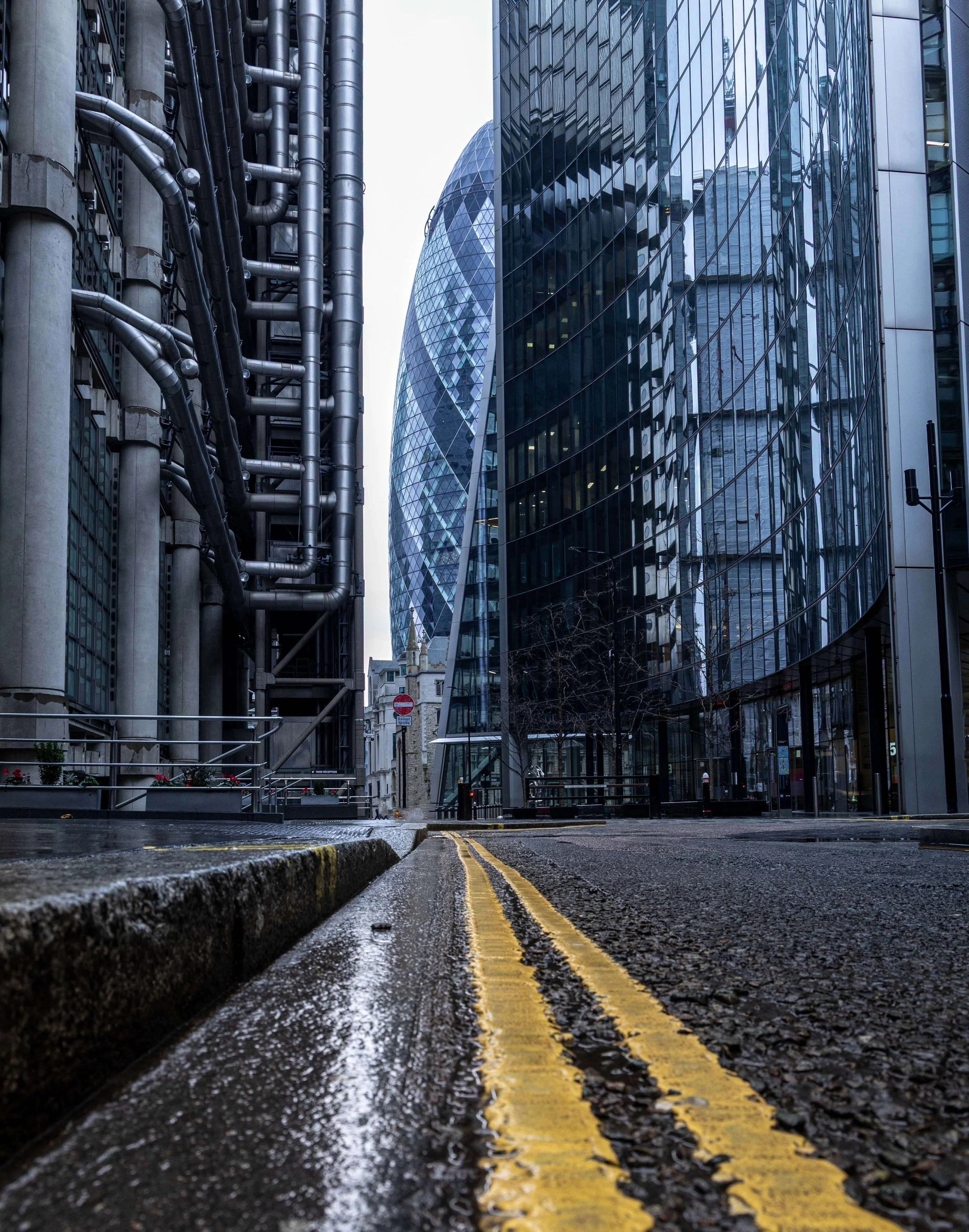 Image By Bridget Codrington