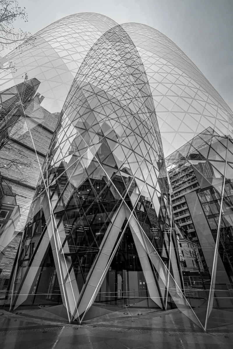 Image By Frank Collins