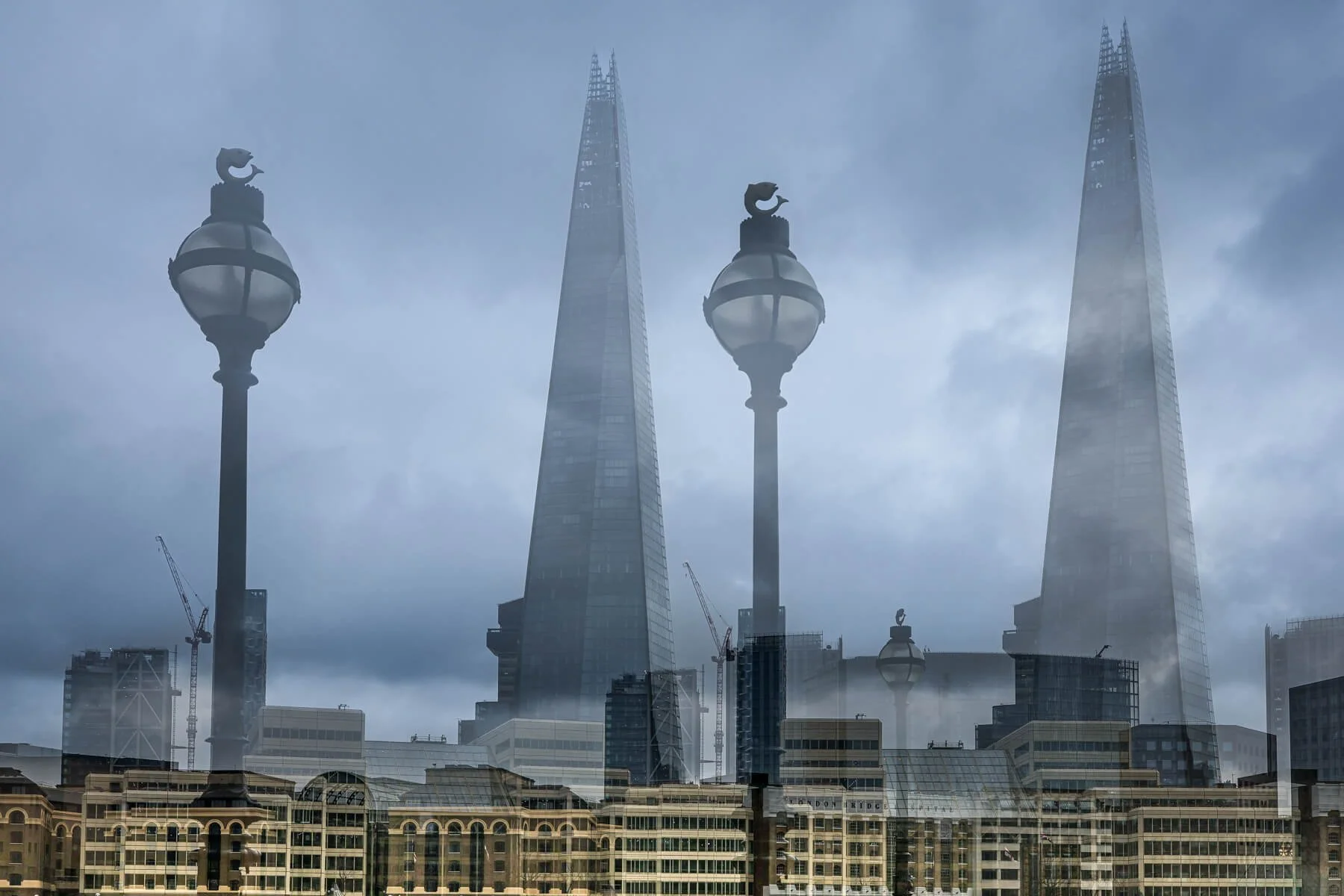 Image By Frank Collins