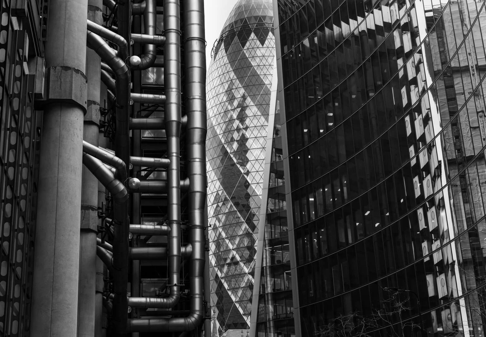 Image By Mandy Nicoll