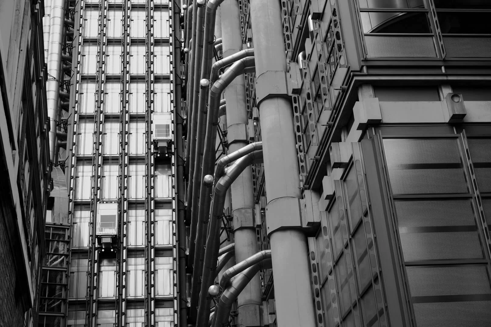 Image By Mandy Nicoll