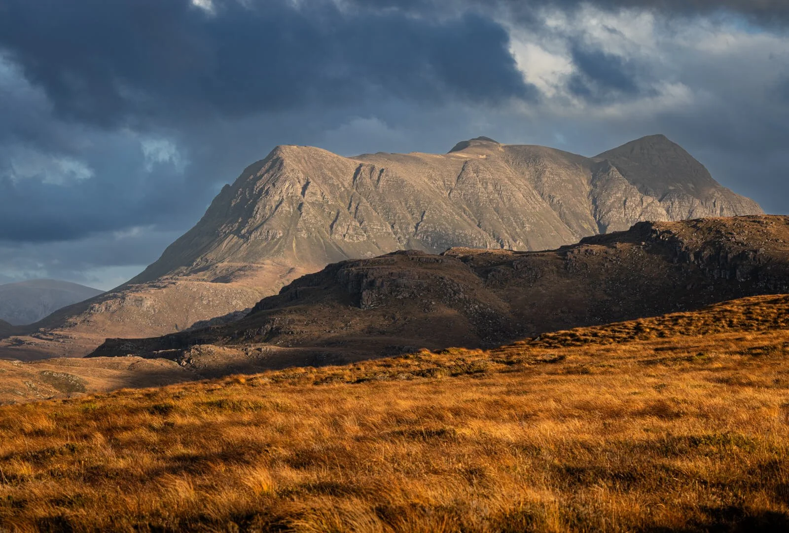 HC Cup More in Afternoon Sun By Gerald Clarke