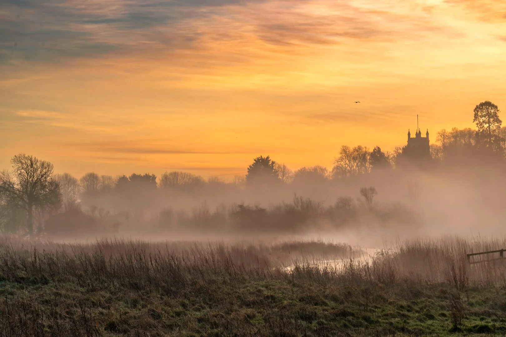 HC Misty Morning By Vijay Patel