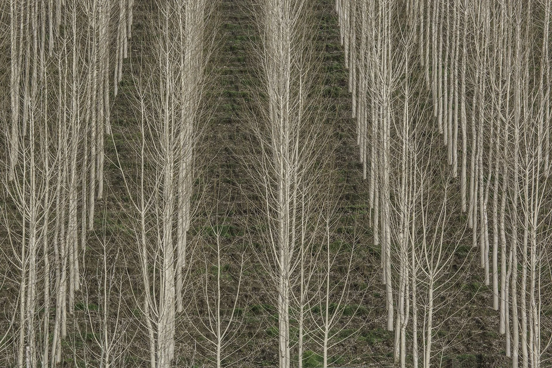 A16.jpg