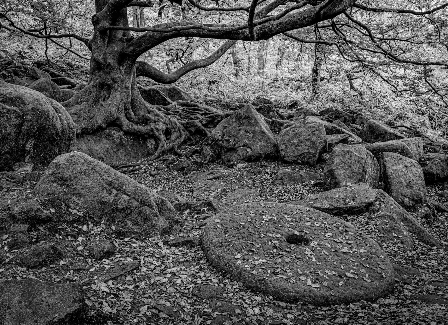 HC Milstone At Padley Gorge By Bridget Codrington