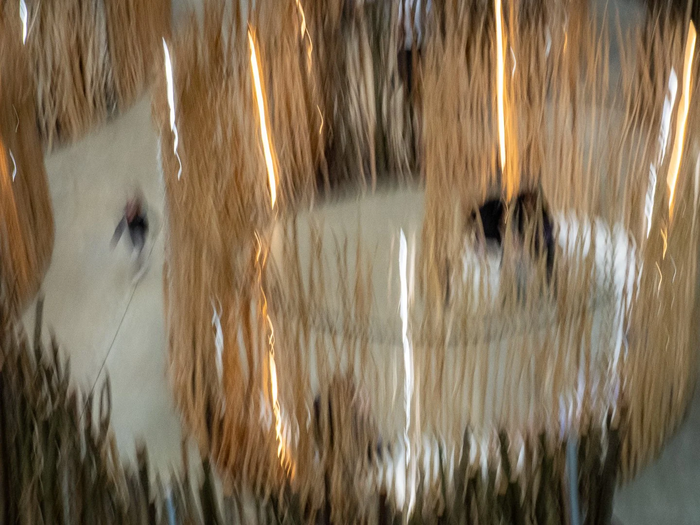 Image By John Wheeley