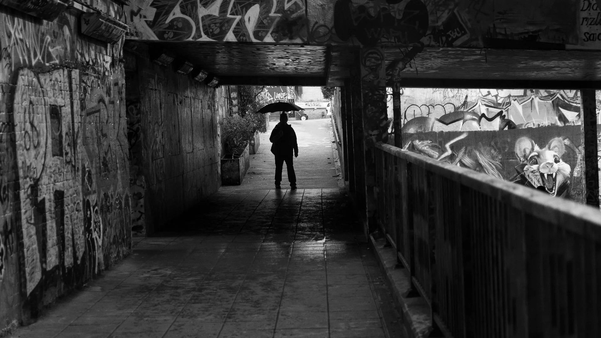 Image By Penny Clarke