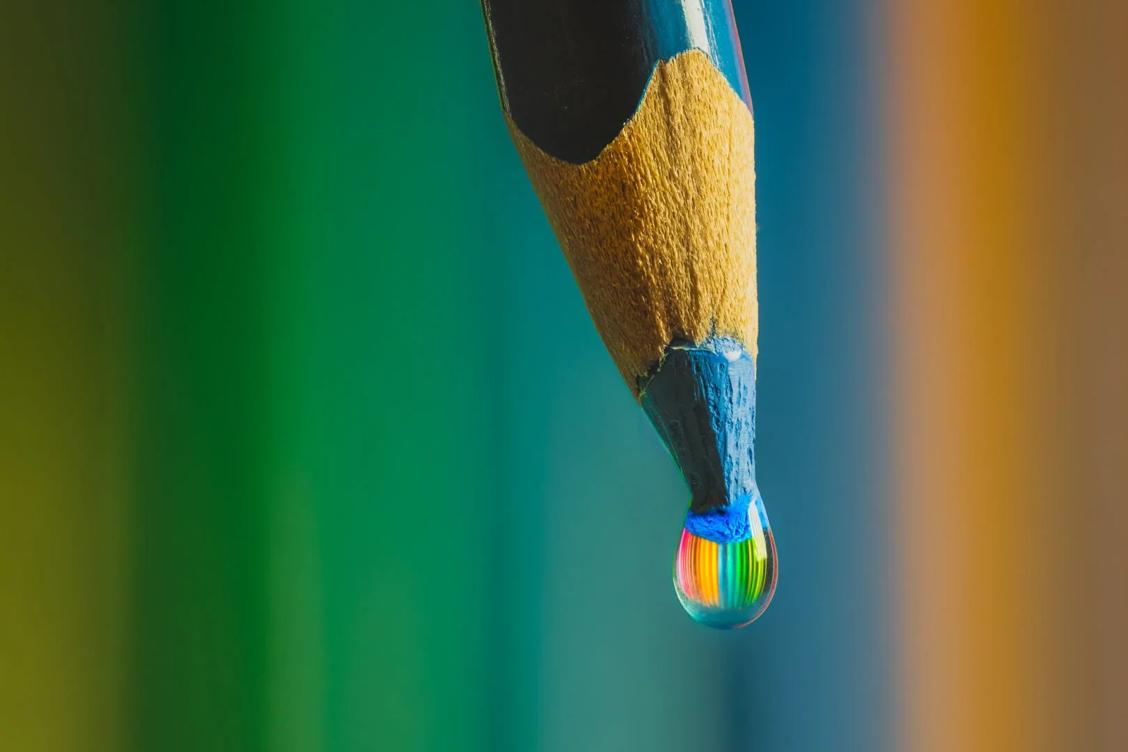 Close -up and Macro Competition &amp; Creative Competition 