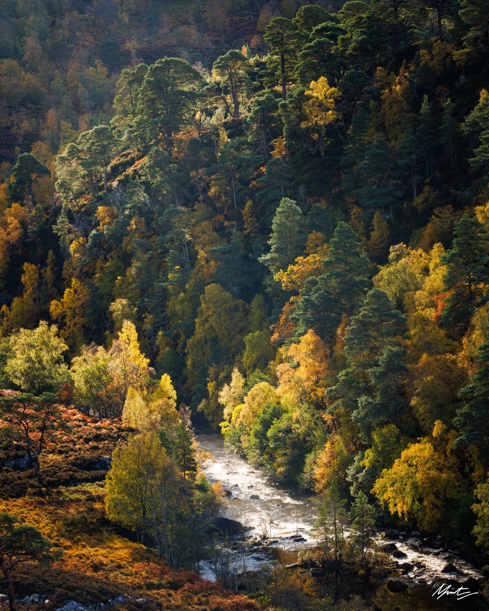 Murray Livingston — Long Lens Landscapes-2.jpg