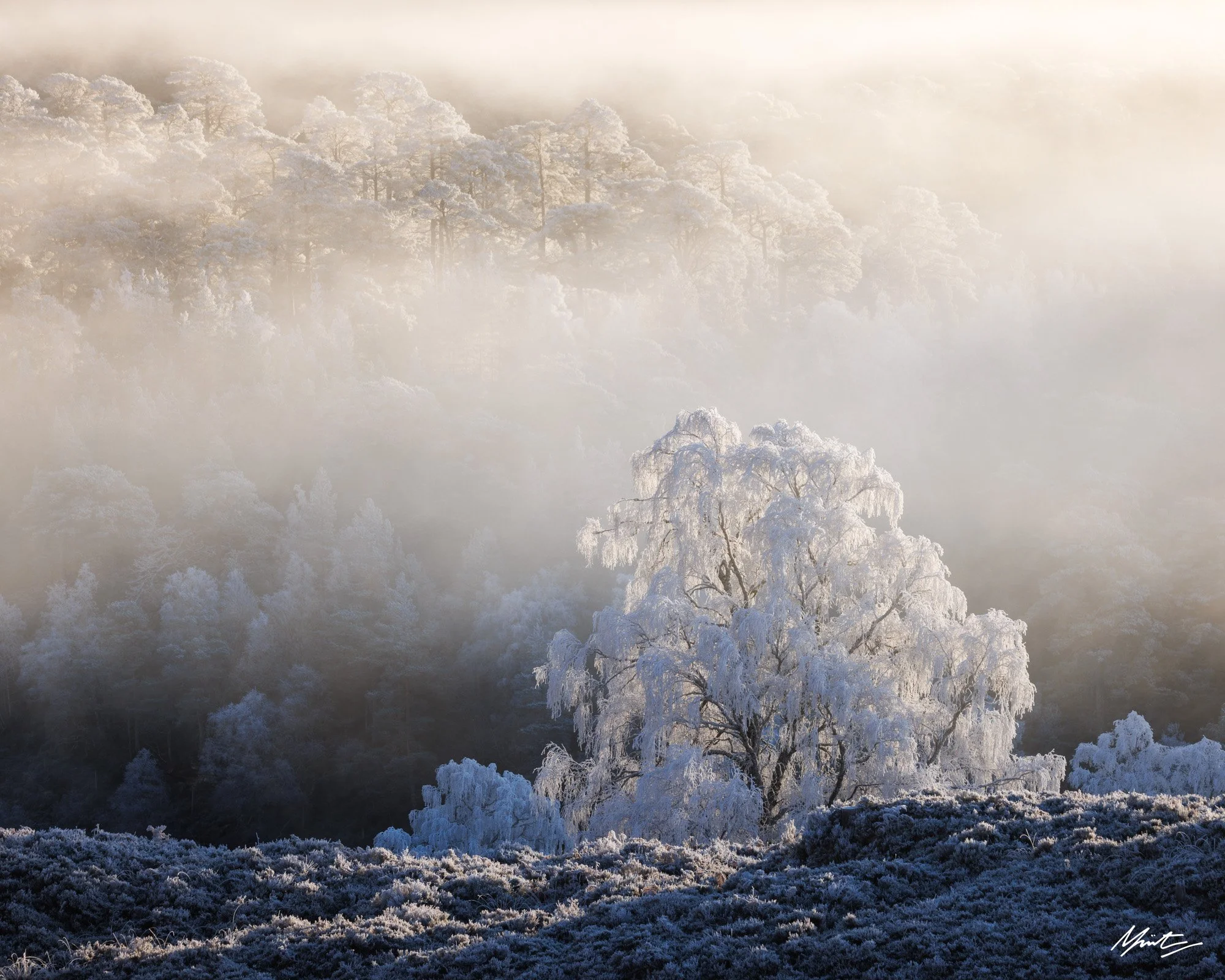 Murray Livingston — Long Lens Landscapes-4.jpg