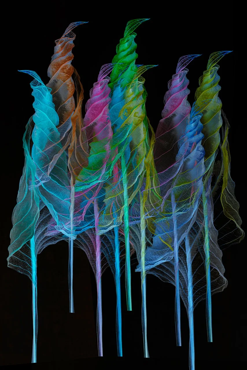 ccarter-abstract-4.jpg