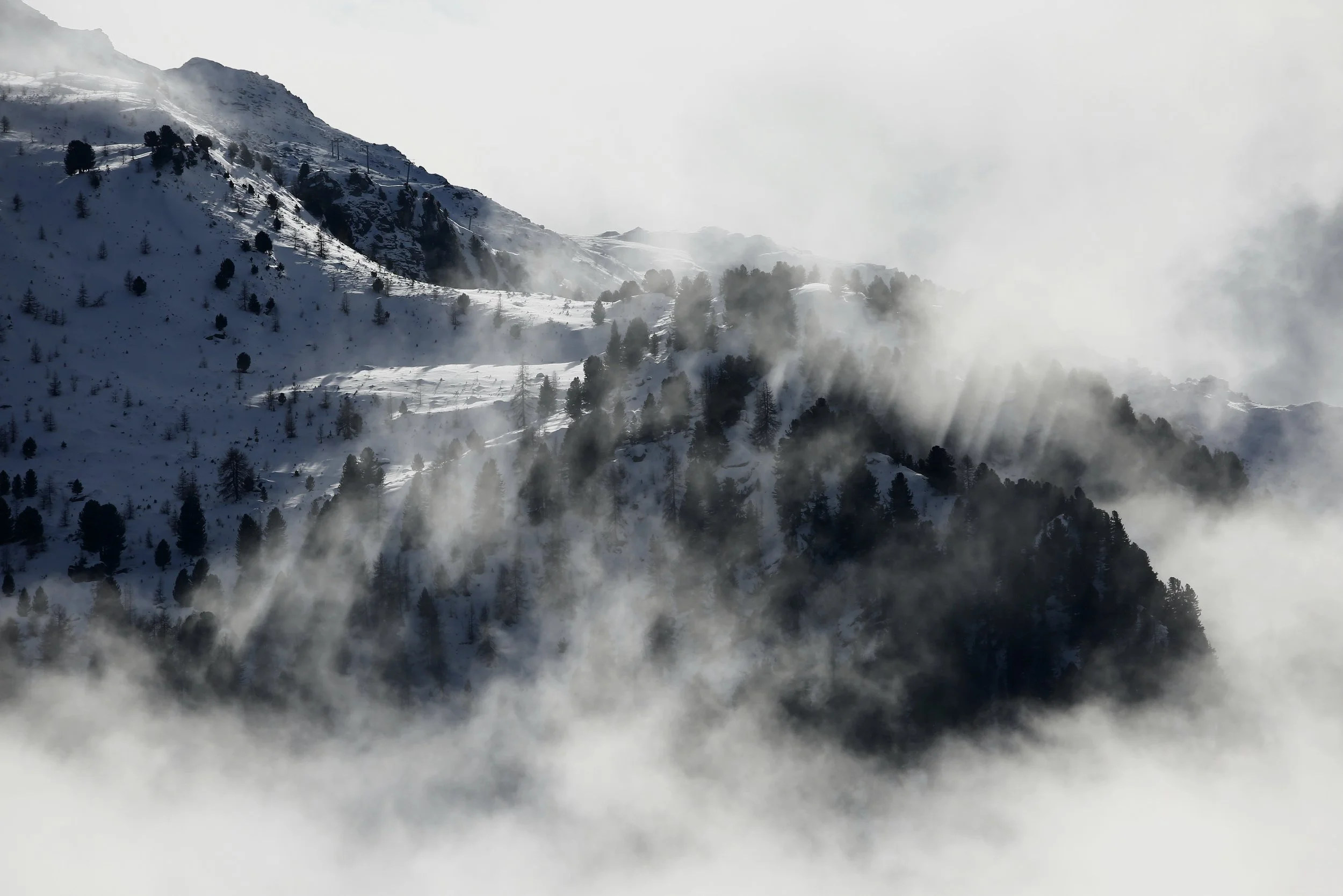_MG_7998.JPG