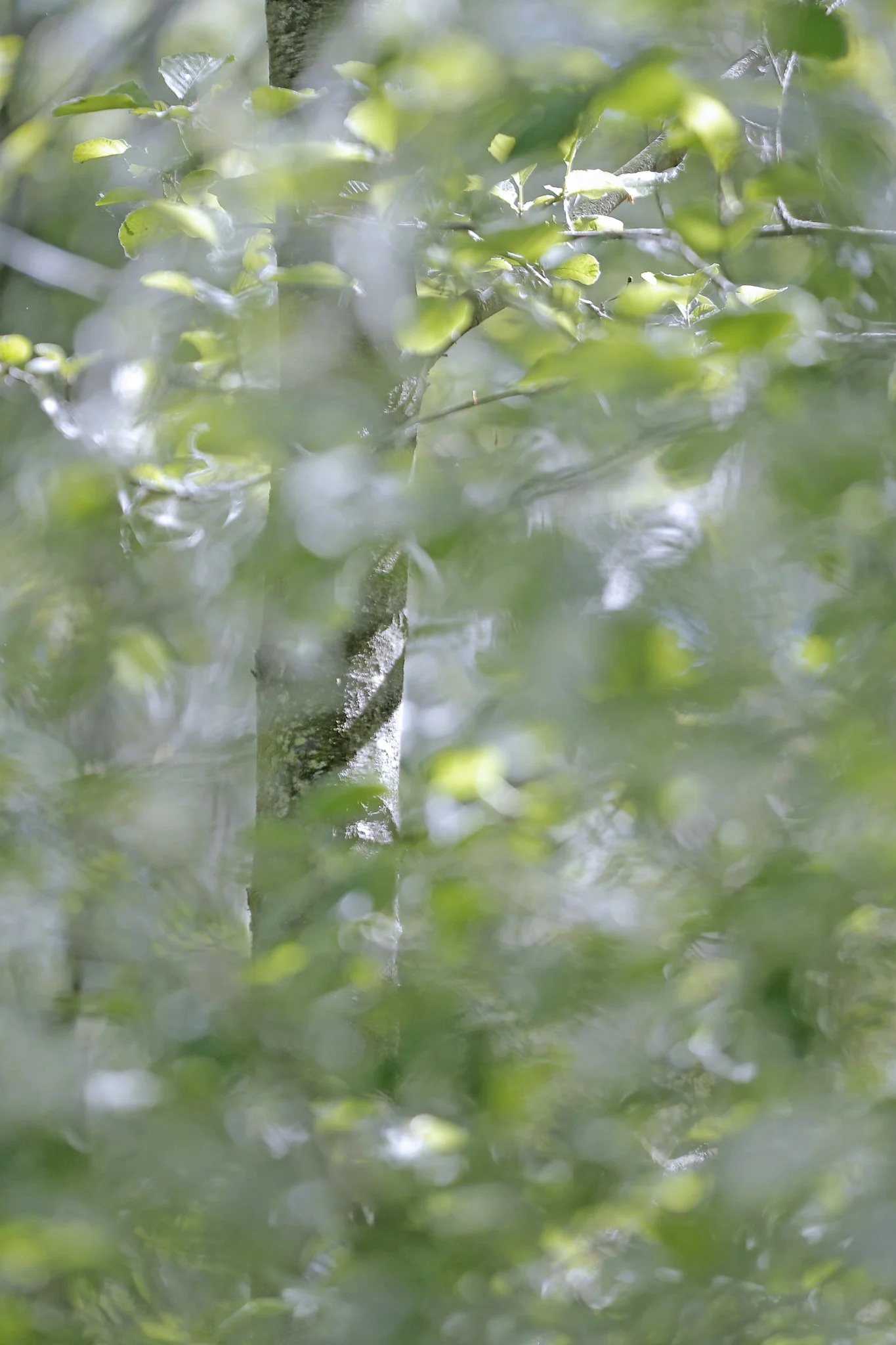 Finding Art In Nature