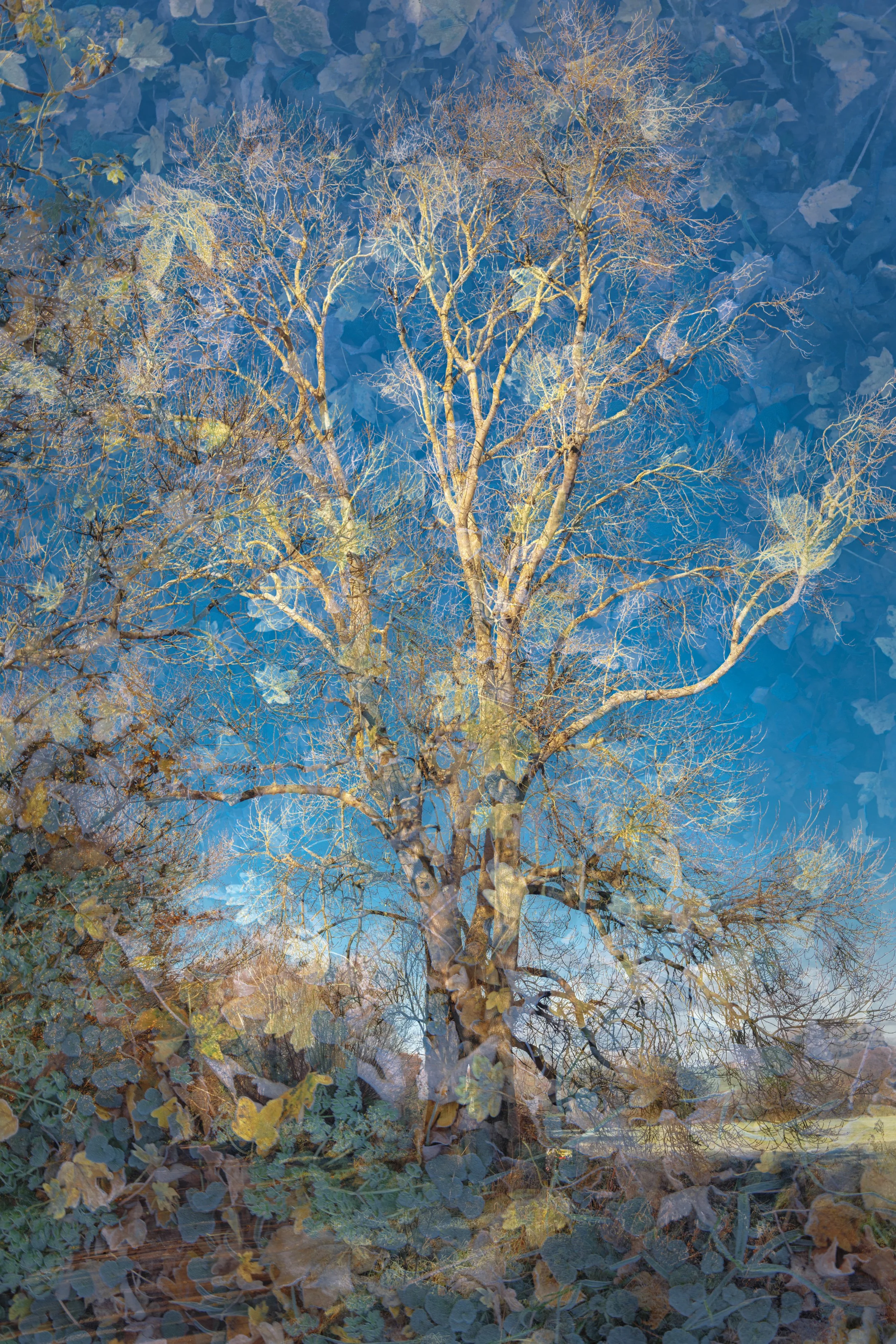 Winter Impressions.jpg