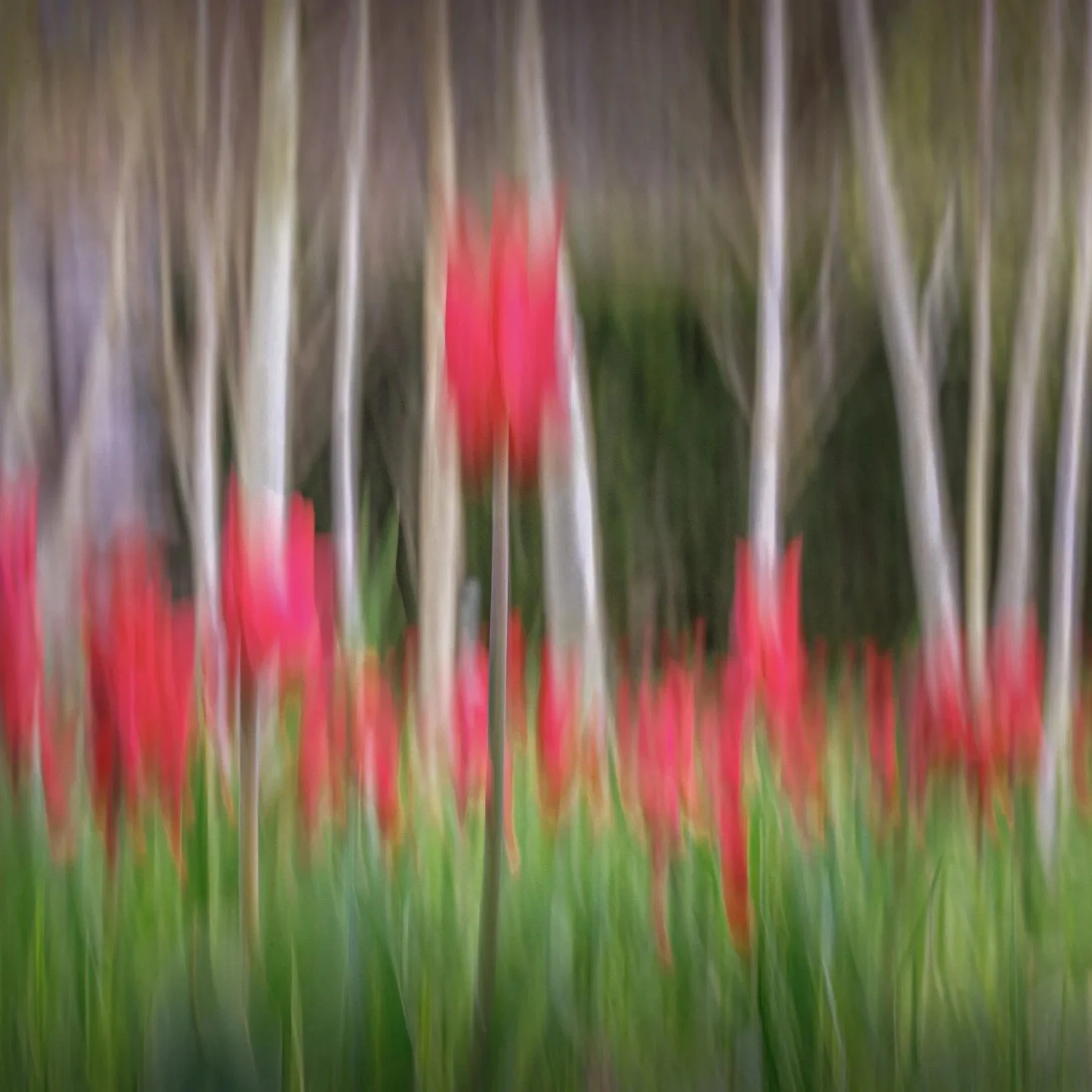 "Creative Expression - Seeing the World Differently"