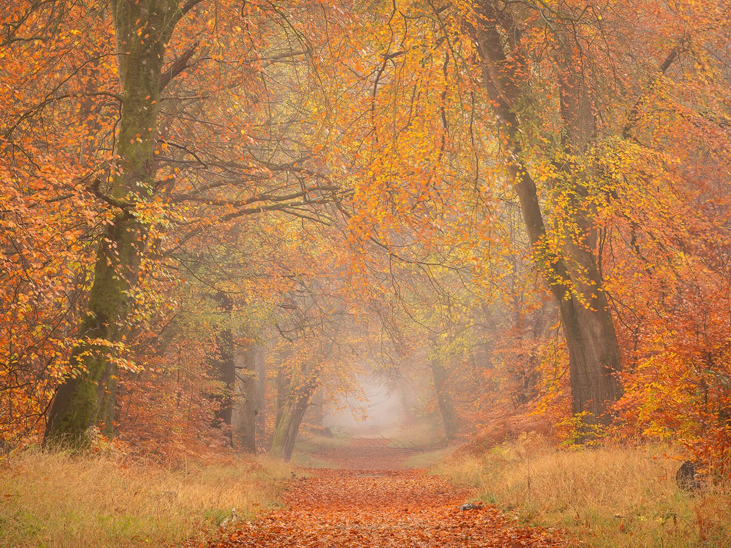2nd place ‘Three Oak Hill Drive, Savernake’ by Robert Harvey
