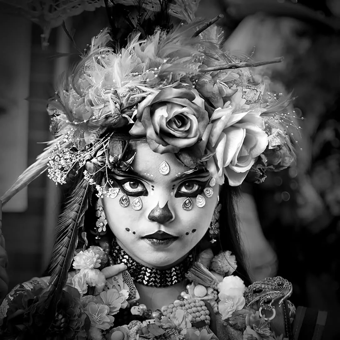 Hc The Floral Muse By Caroline Wright