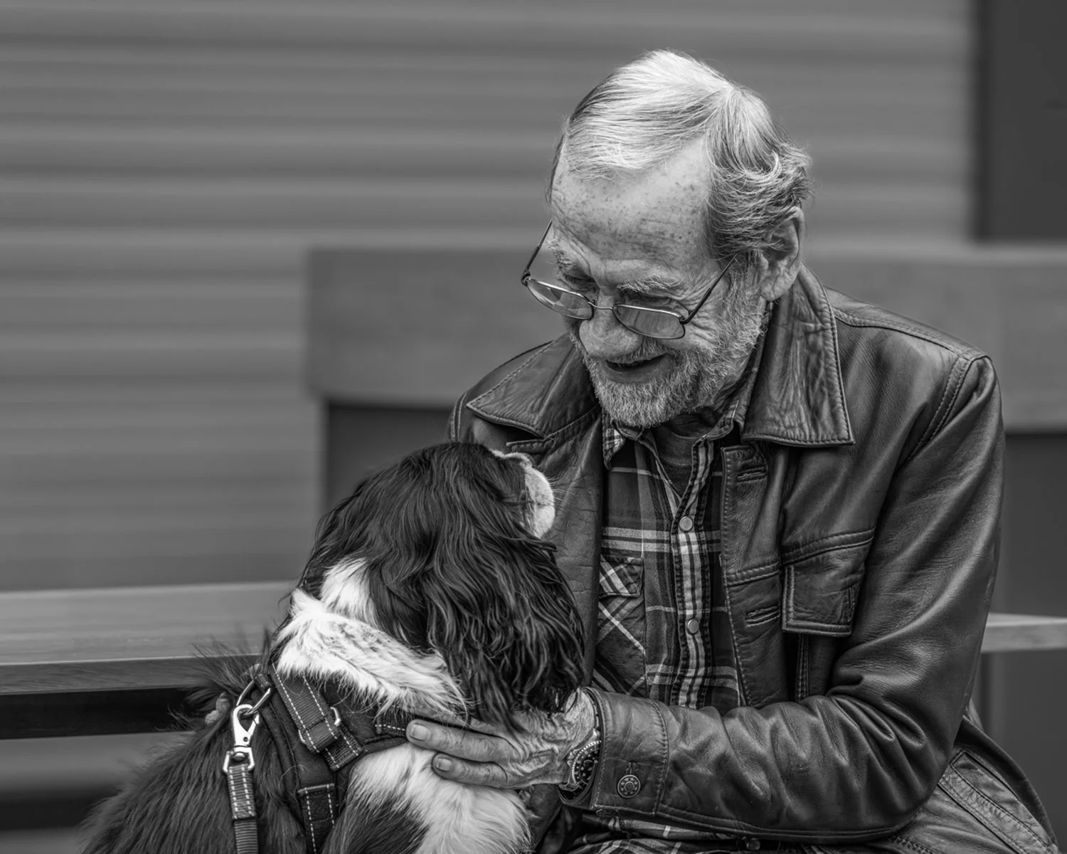 Best Mates By David Evans 12