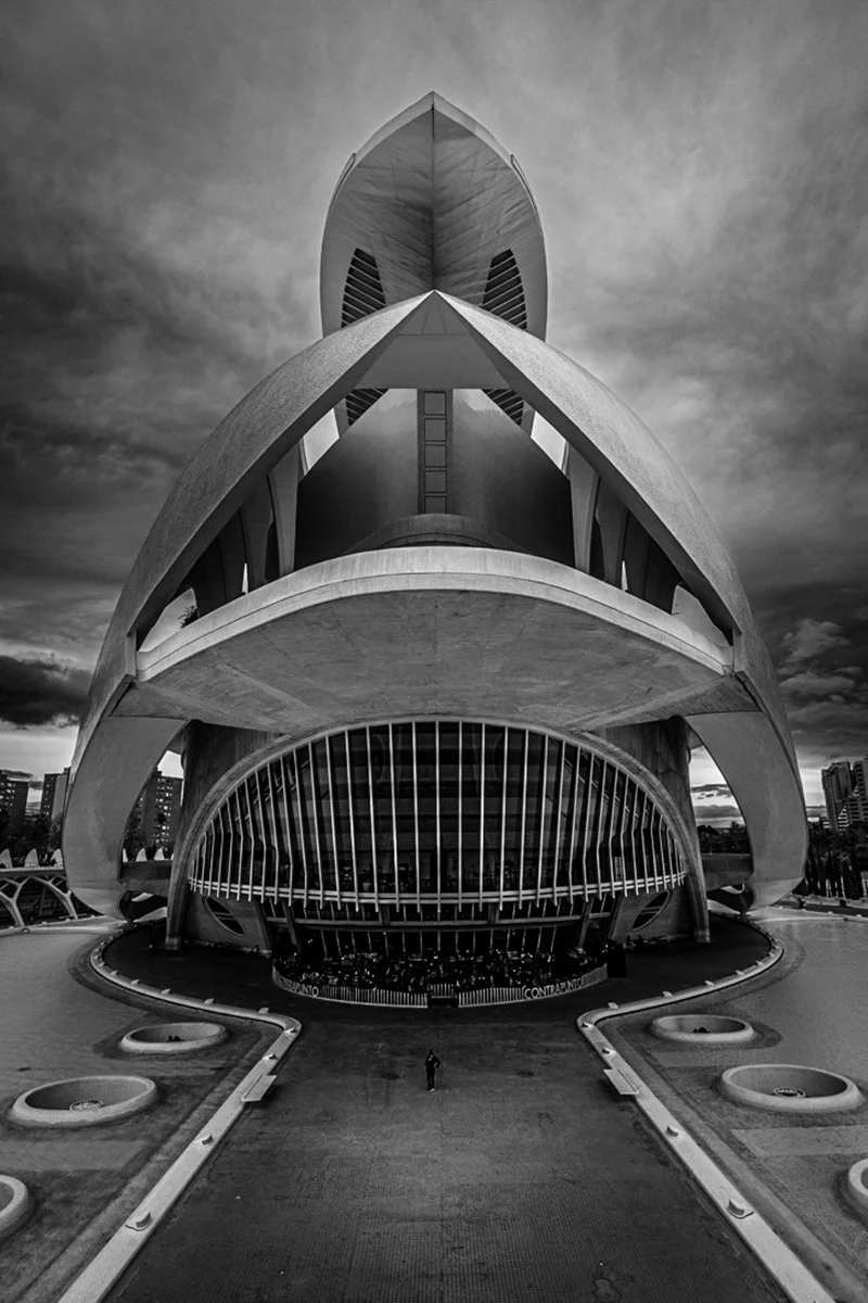 Moody Presence, Valencia By Frank Collins 14