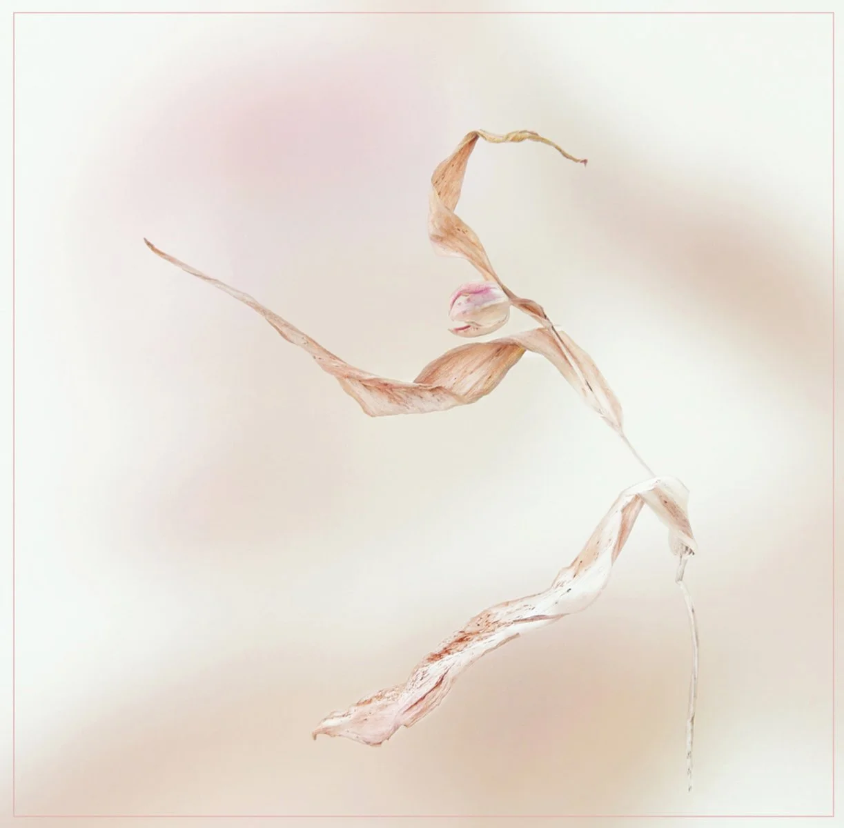 Dance Till you Drop By Janet Rutter 11