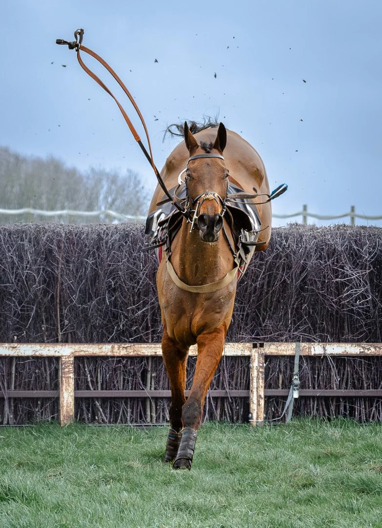 1st Jumping for Joy by Mandy Nicoll