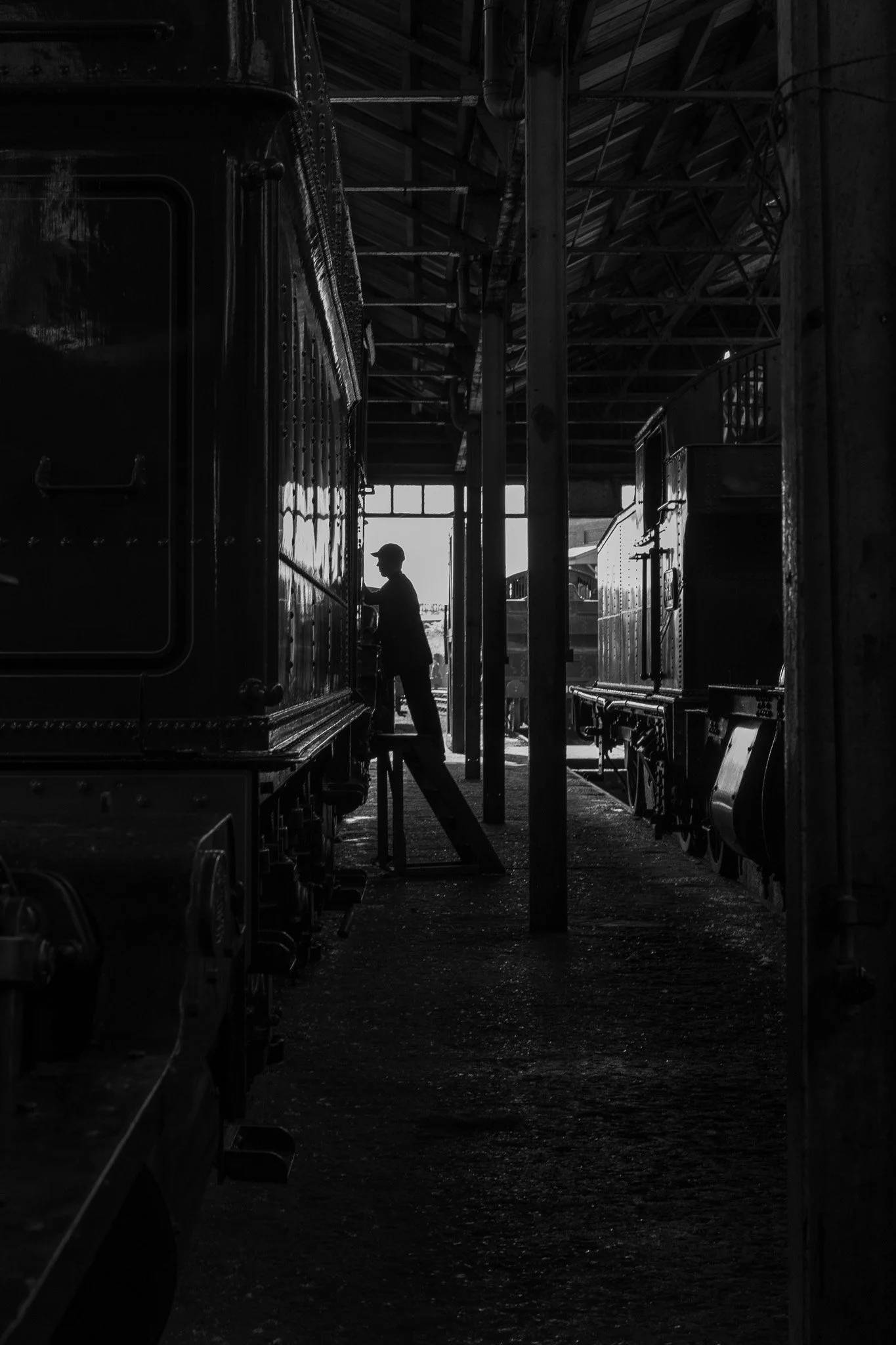 Image By Mandy Nicoll