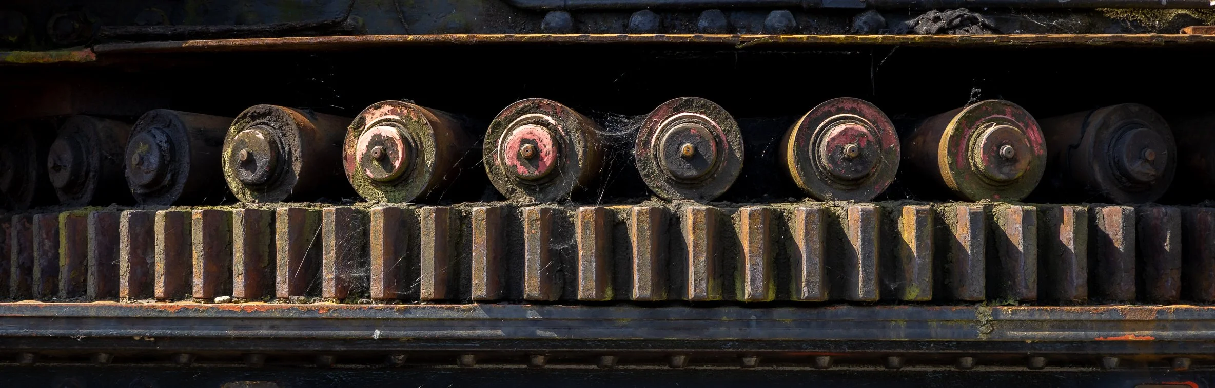 Image By Sue Wadman