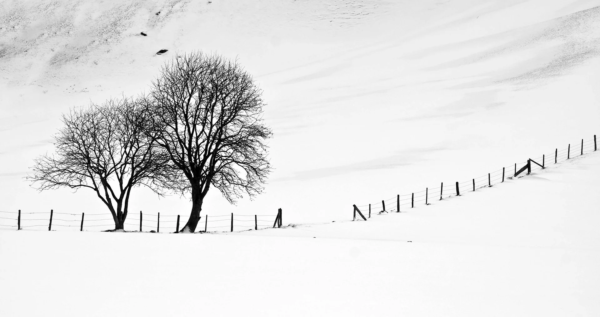 2nd Winter Scene by Kevin Ferris