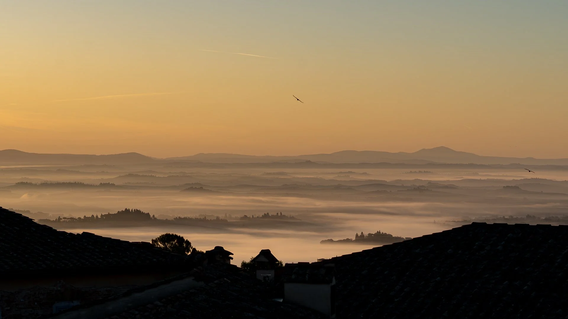 3rd Misty Tuscan Sunrise by Sandra Foulstone