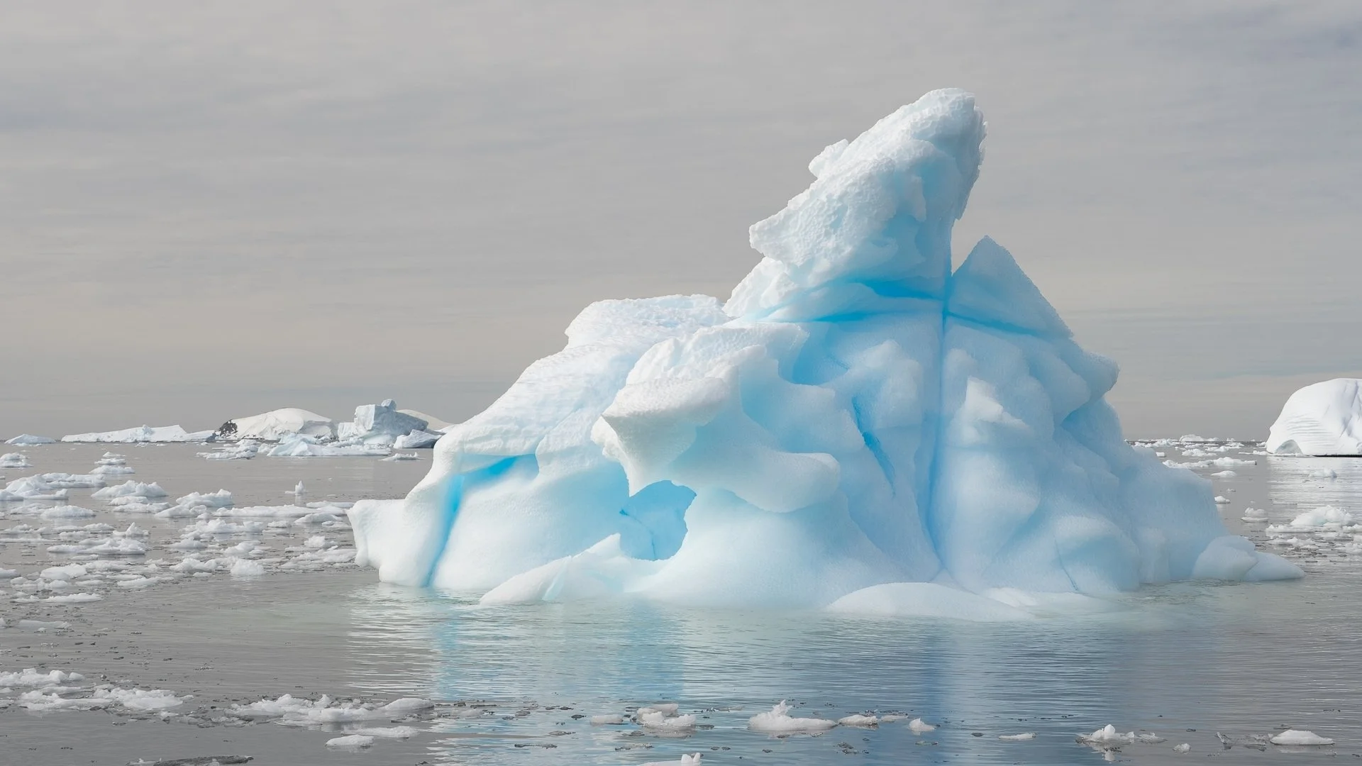 2nd Bergy Bits by Craig Wood