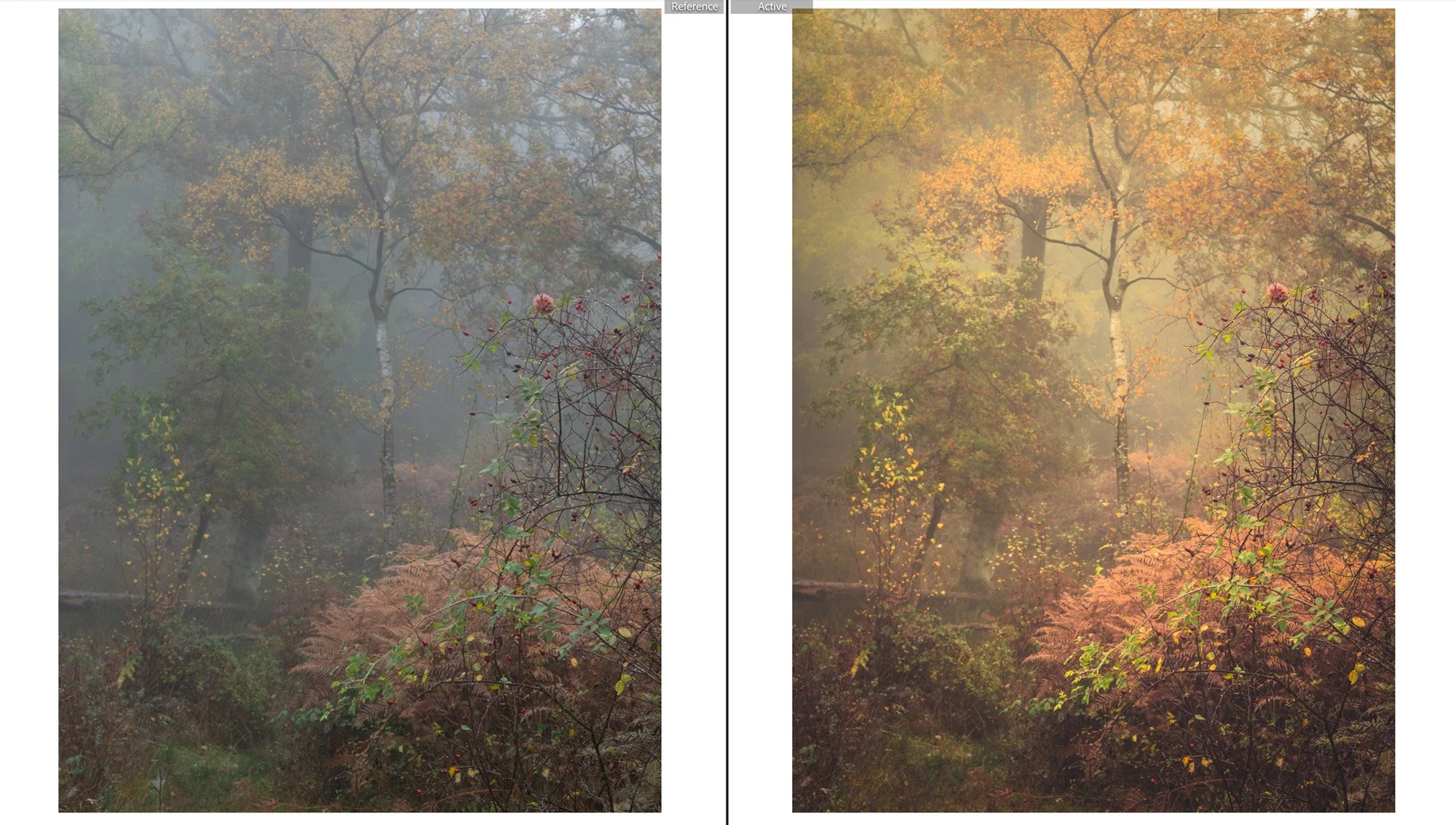 BEFORE & AFTER 1.jpg