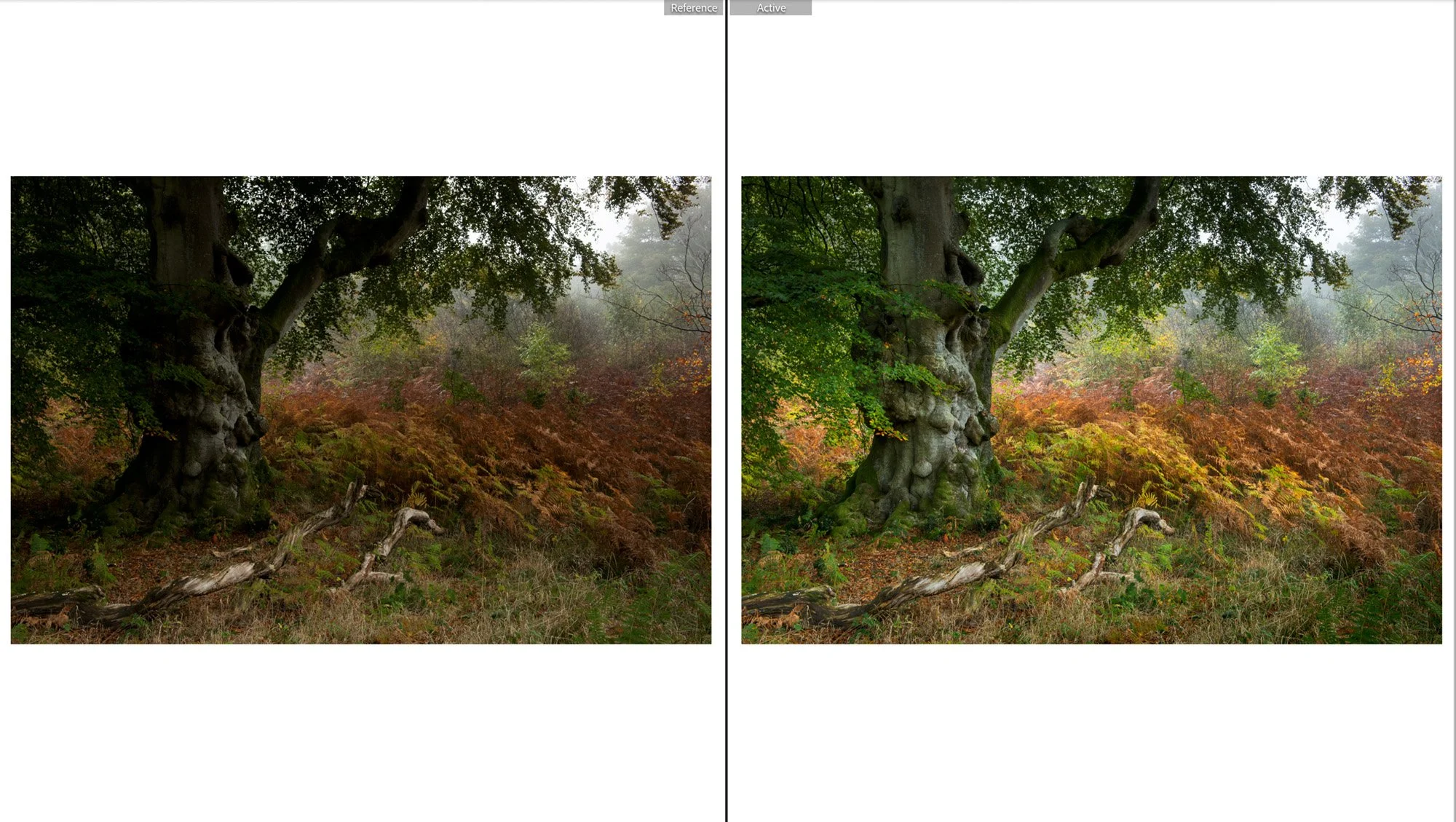 Light Is Everything, Post Processing Can Only Help You