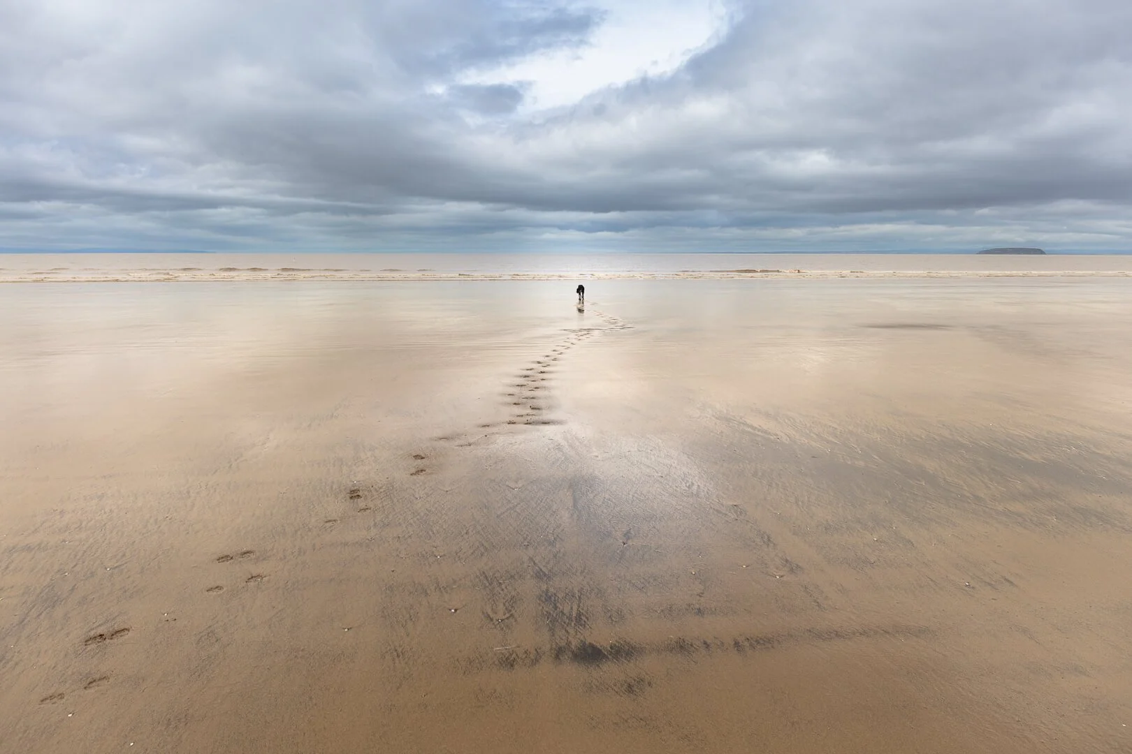 HC A Long Walk to the Sea by Mandy Nicoll